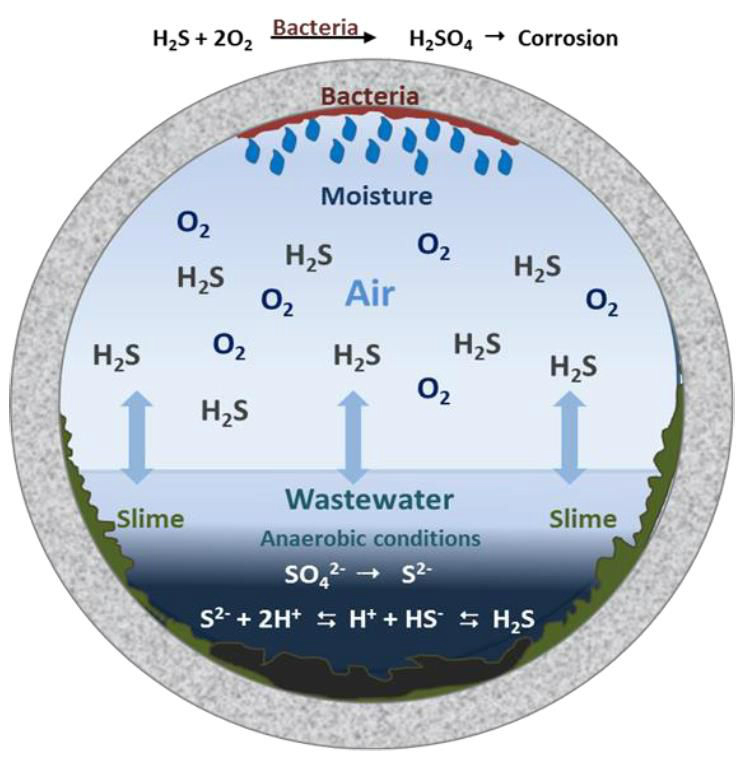 Full form of h2s